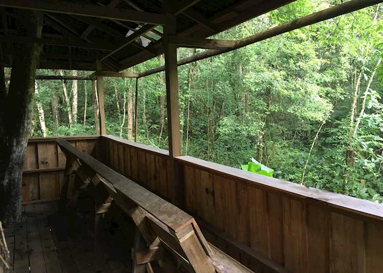 The 'watchtower' for spotting wildlife in Nam Et-Phou Louey NPA