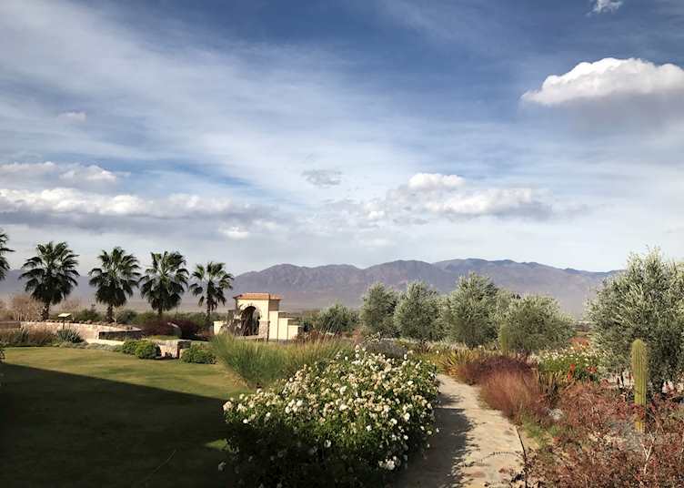 Vineyard just outside Cafayate