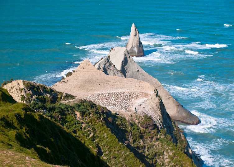 Cape Reinga, New Zealand