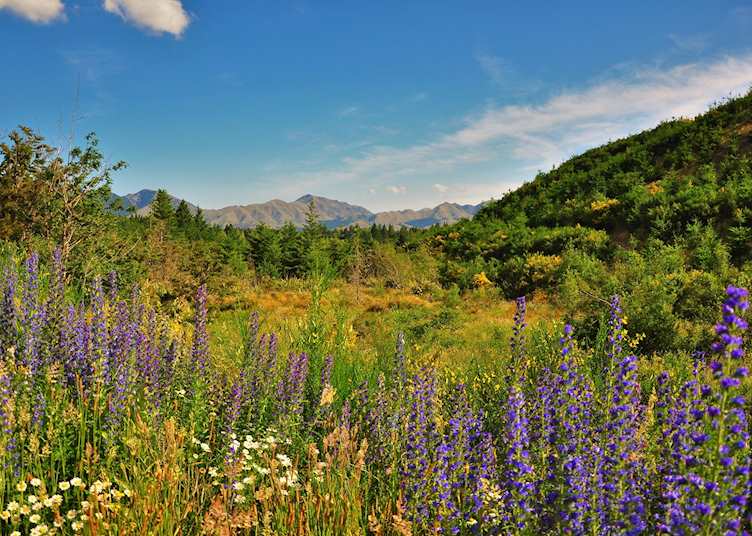 Hanmer Springs, New Zealand