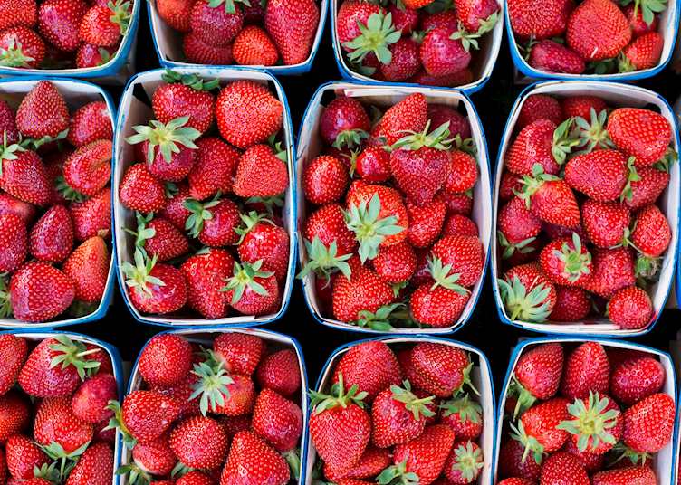 Fresh strawberries, France