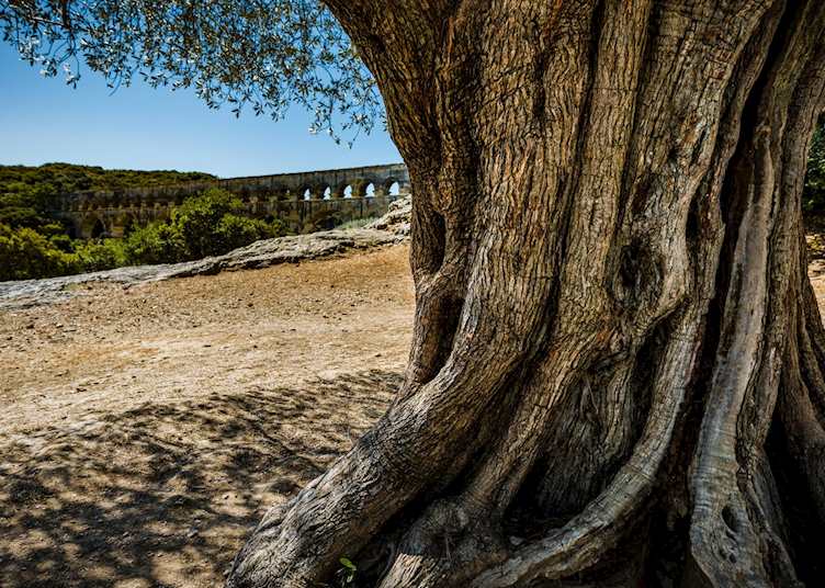 Pont-du-Gard, Provence