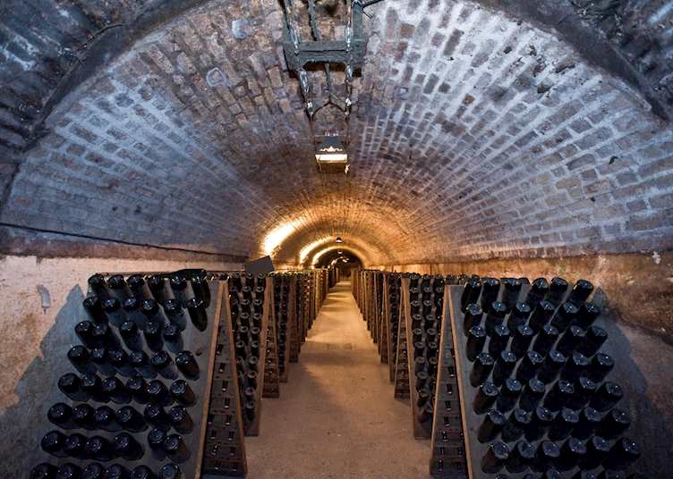 Champagne cellar, France