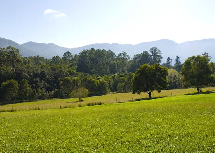 Bellingen