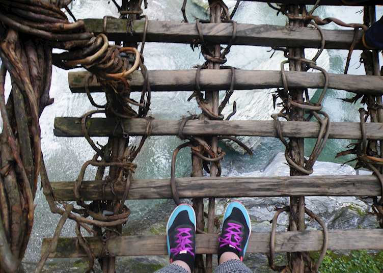 Iya vine bridge 
