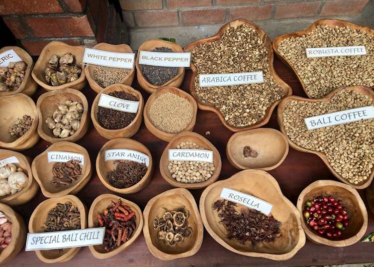 Munduk coffee plantation day trip