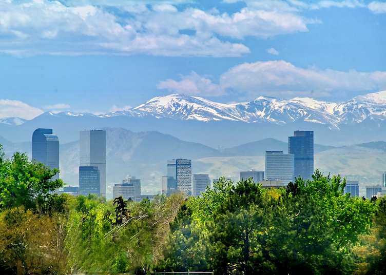 Denver skyline with trees
