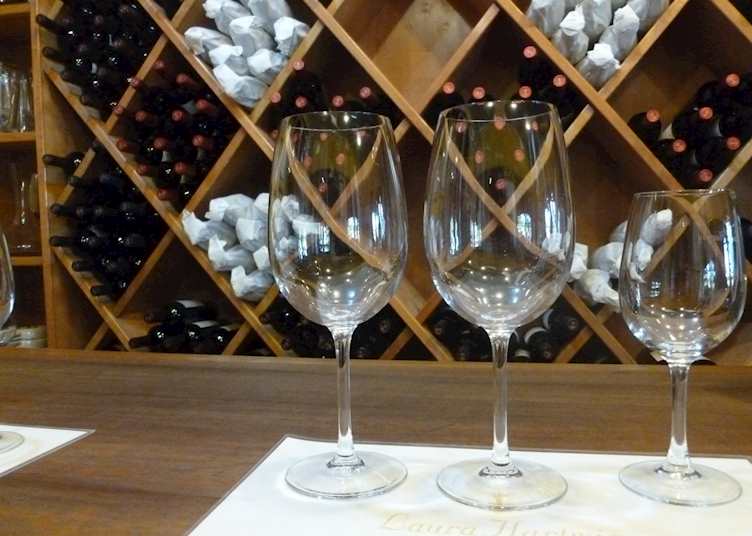 Wine tasting in Chile