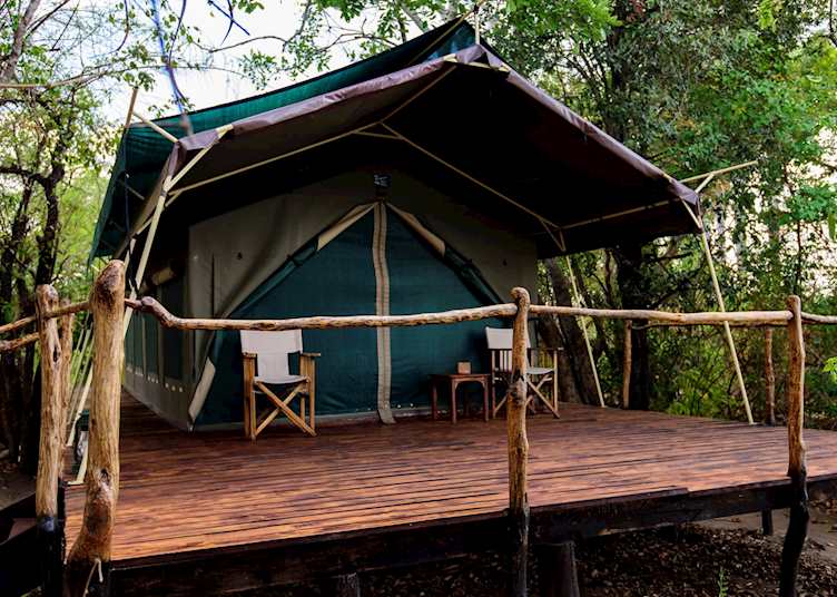 Standard tent at Selous Impala Camp 