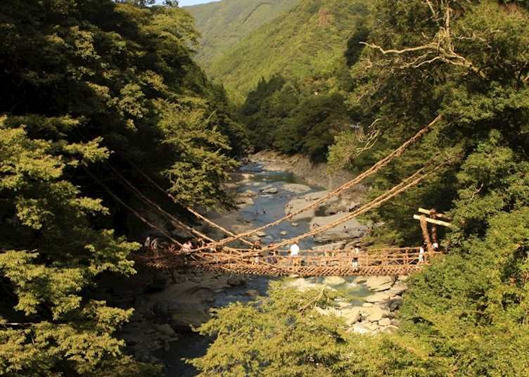 Iya Valley Vine Bridges, Tokushima