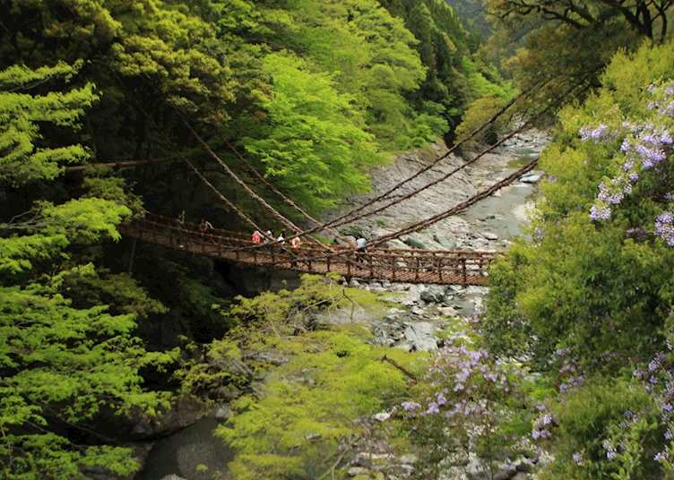 Iya Valley Vine Bridges, Tokushima