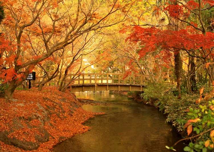 Changing Leaves, Beppu
