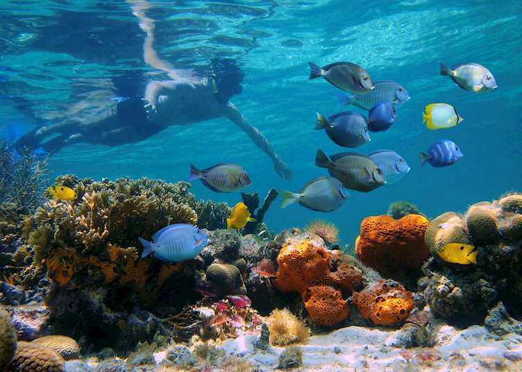 Snorkeling