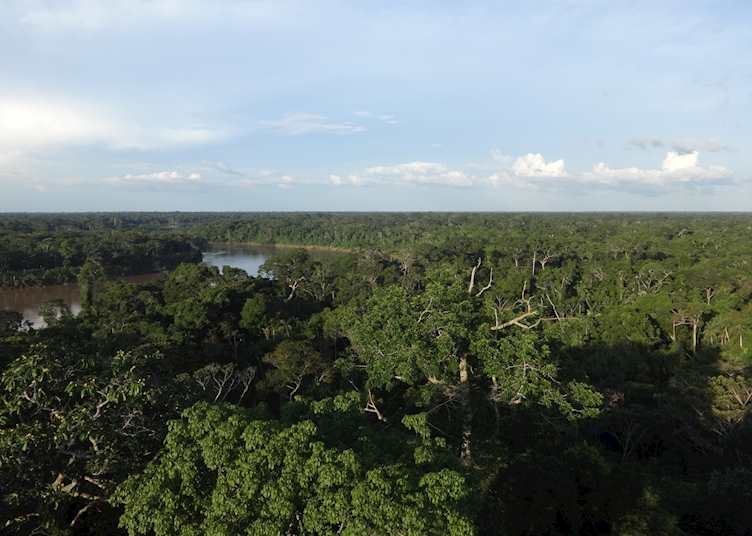 View from Canopy Tower, Excursion from Posada Amazonas