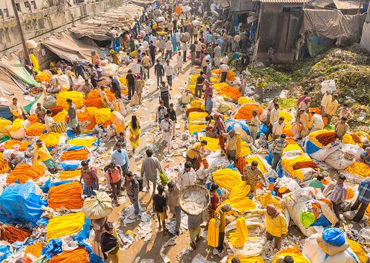 Calcutta Flower Market