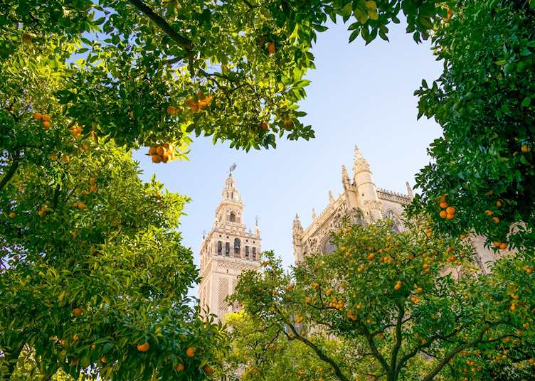 Giralda Tower, Seville