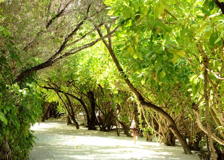 Anantara Veli Maldives Resort, Maldive Island