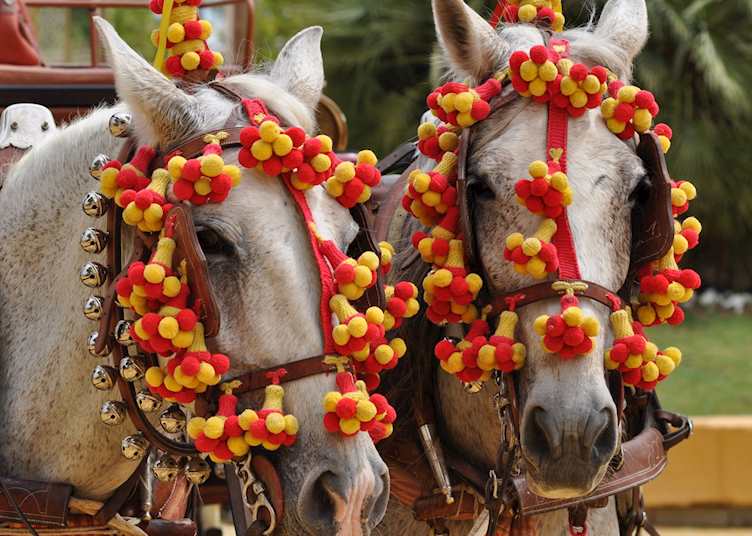 Feria horses, Seville