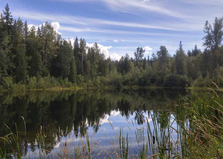 Lake view, Wolfwood Guest Ranch, Clearwater - Wells Gray Provincial Park