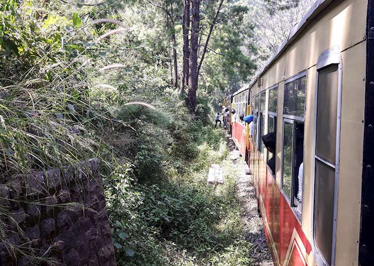 View from the Toy Train