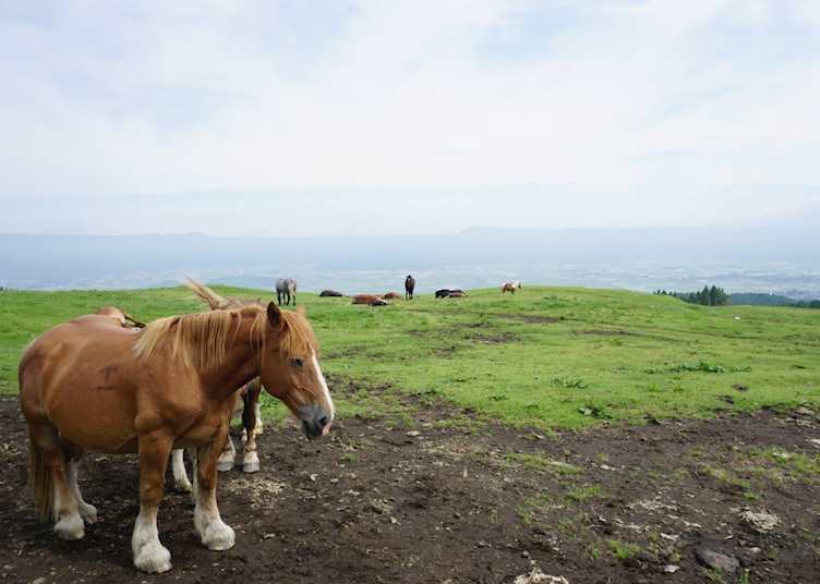 Mount Aso