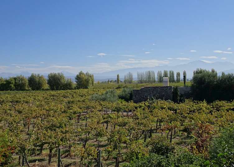 View from the terrace at Awasi Mendoza