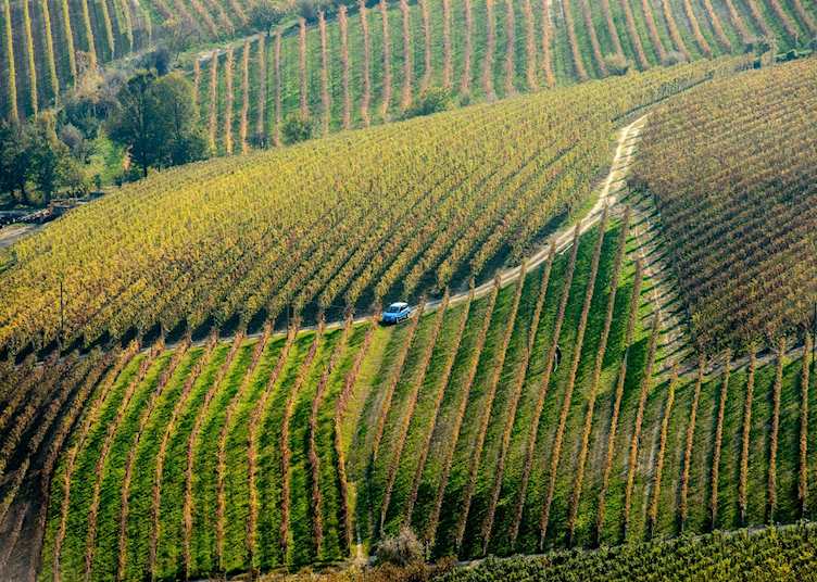 Vineyards, Barolo