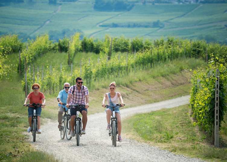 Cycling through vineyards, Piedmont