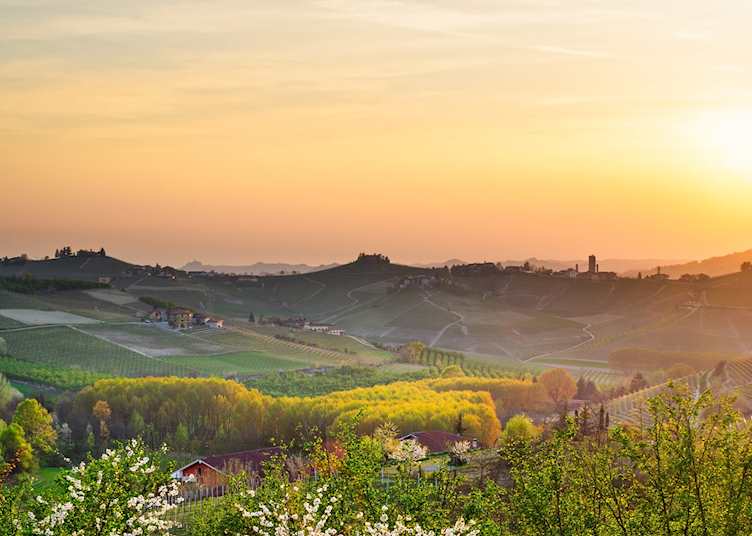 Sunrise over Barbaresco, Piedmont