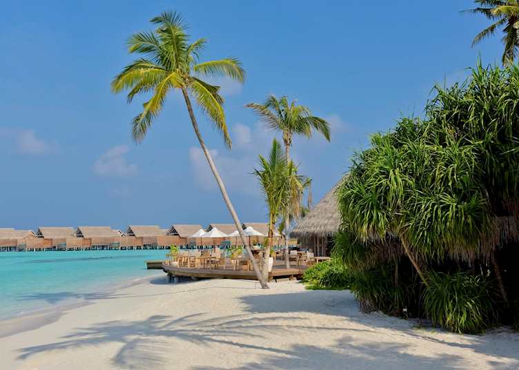 Ocean restaurant, Milaidhoo Island Maldives, Maldive Island