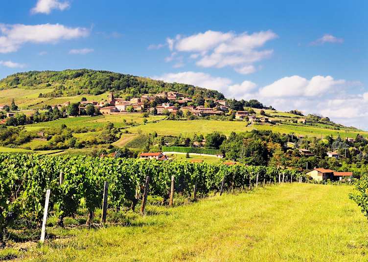 Beaujolais wine region