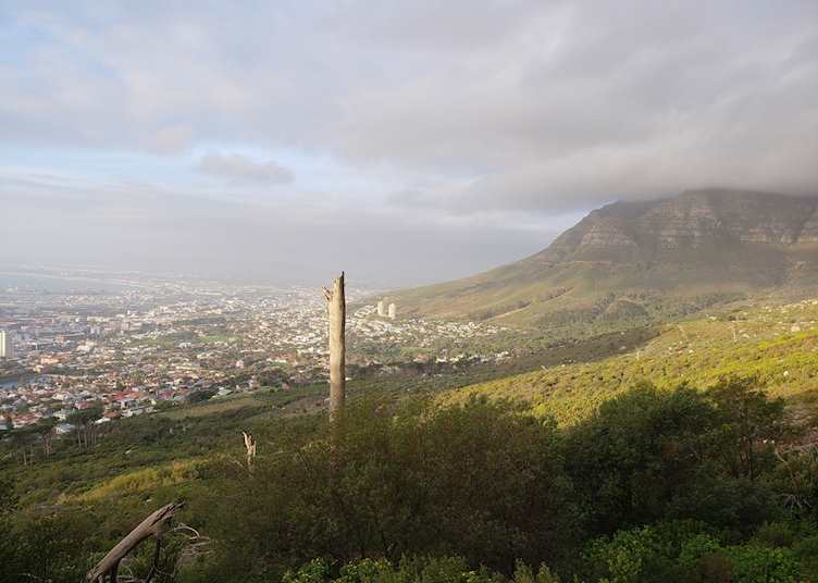 View from Table Mountain