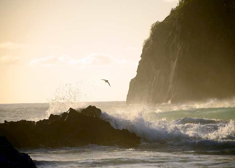 Praia do Americano, Fernando de Noronha