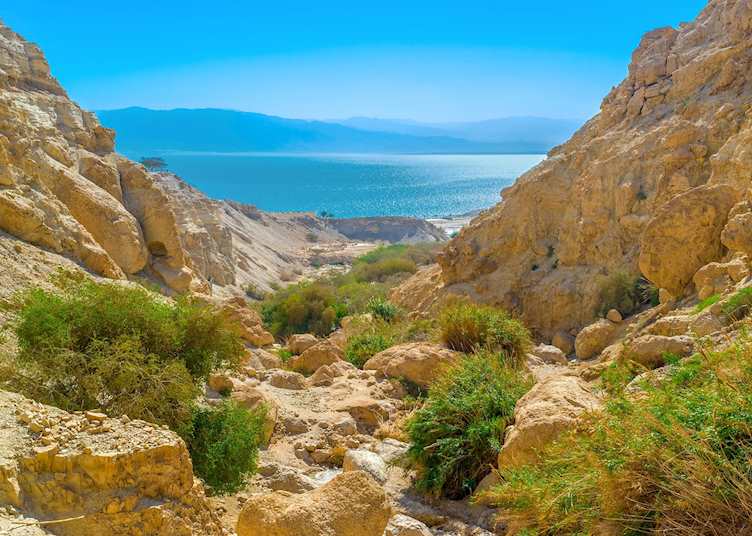 Ein Gedi, Israel