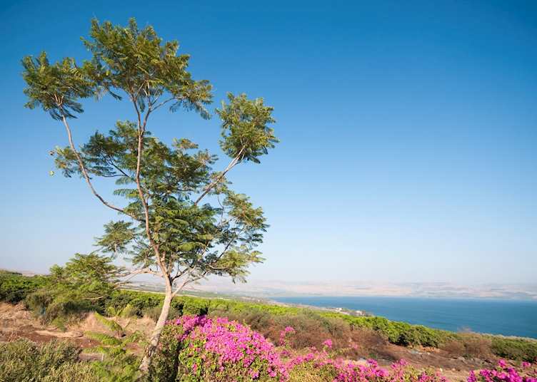 Sea of Galilee, Israel