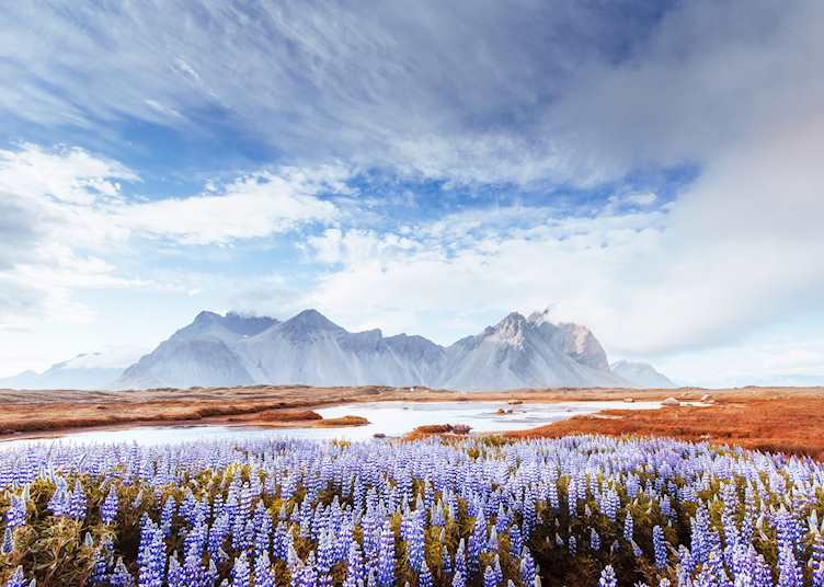 Stokksnes, South East Iceland 