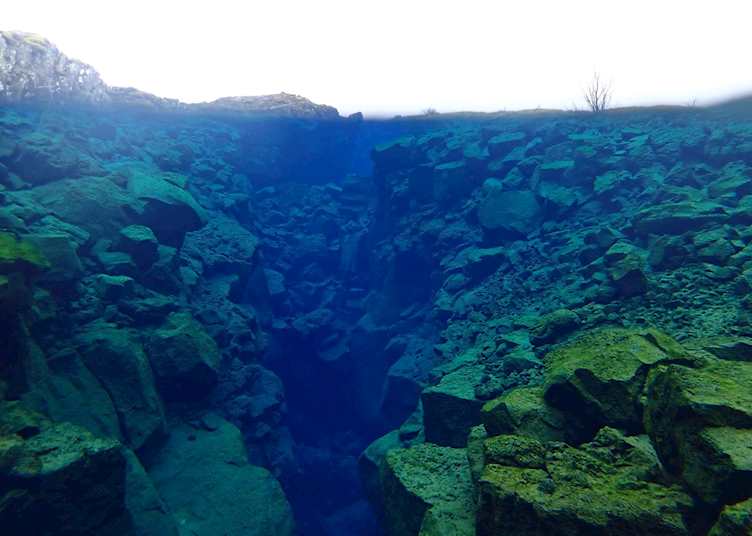 Snorkel at Silfra in Þingvellir National Park