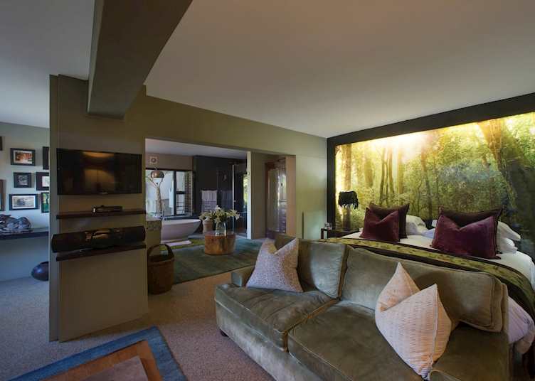Forest suite, Kanonkop House, Knysna