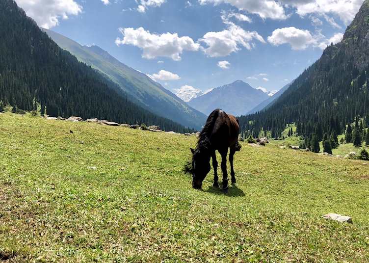Altyn Arashan Valley
