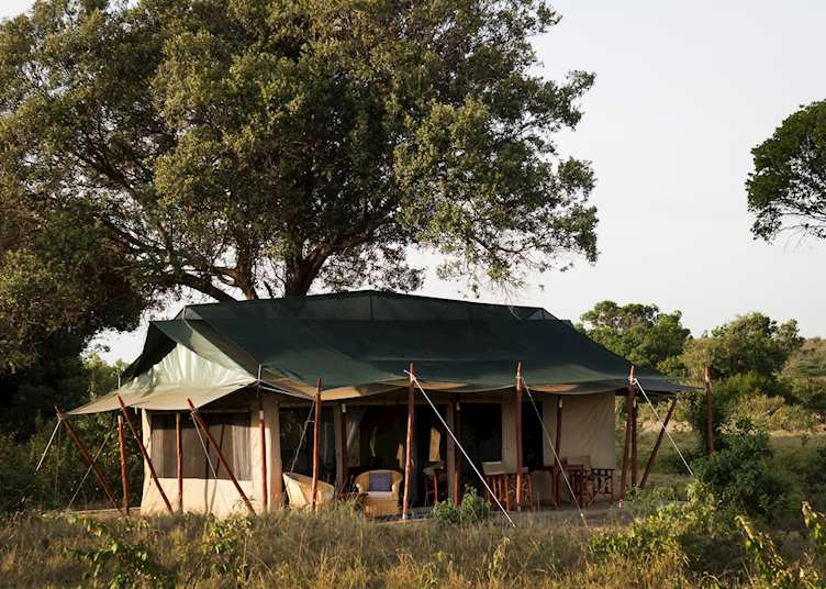 Offbeat Mara tent exterior