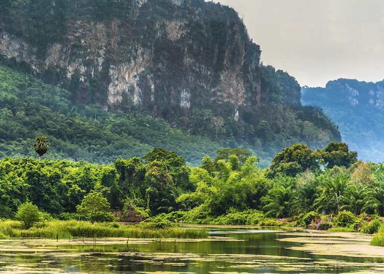 Khao Yai National Park