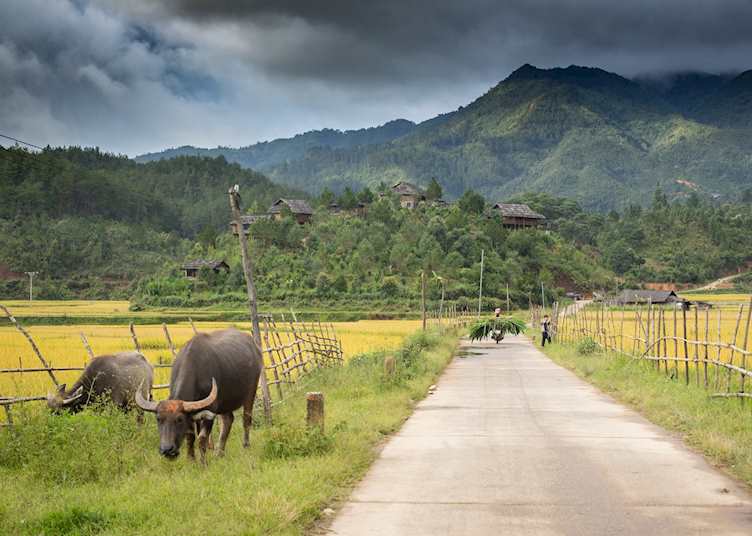 Mu Cang Chai Ecolodge