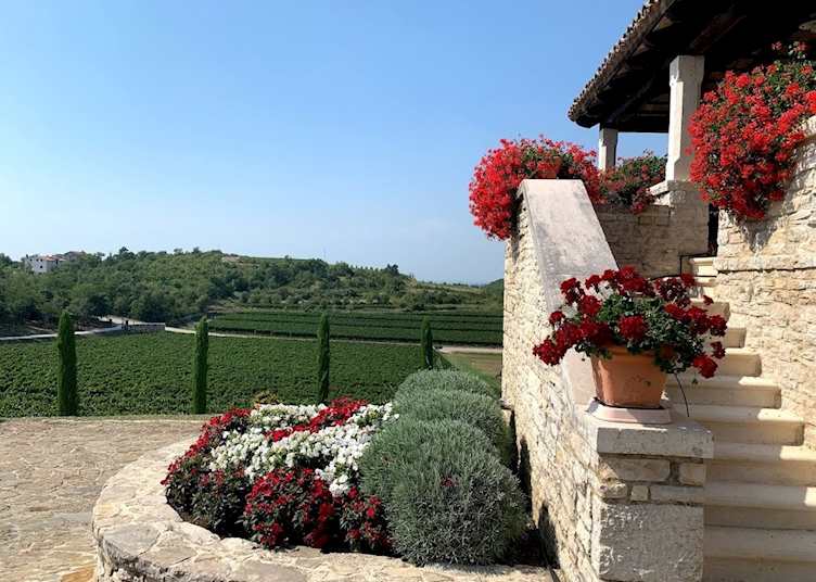 Kabola Winery, Istria