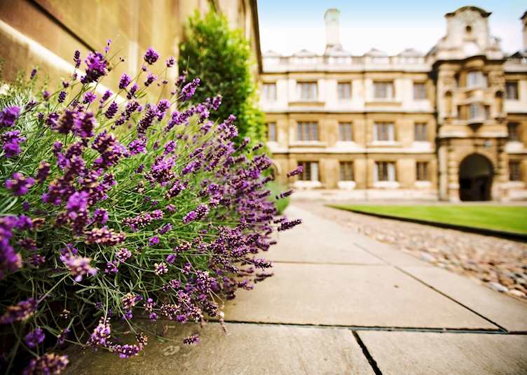 Cambridge