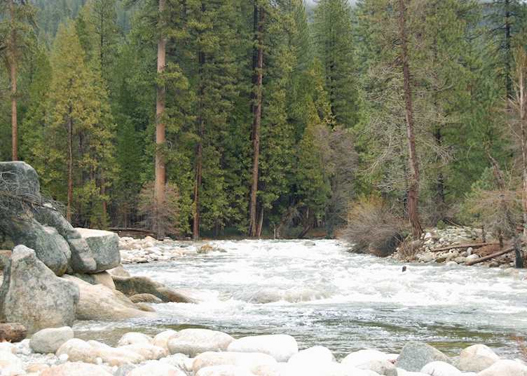 Cabin 42 Redwoods in Yosemite