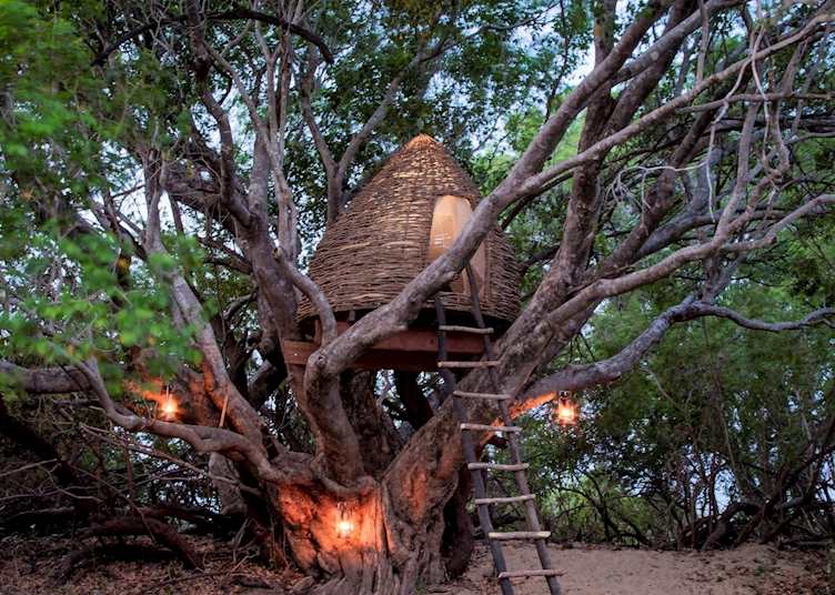 Tonga Basket Treehouse, KaingU Safari Lodge, Kafue National Park