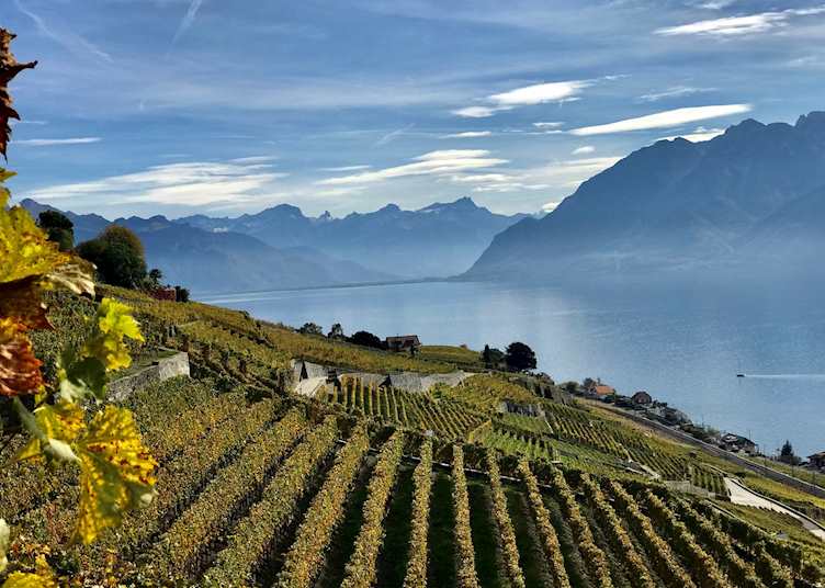 Vineyards of Lavaux