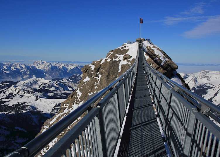 Panoramic views from the Peak walk