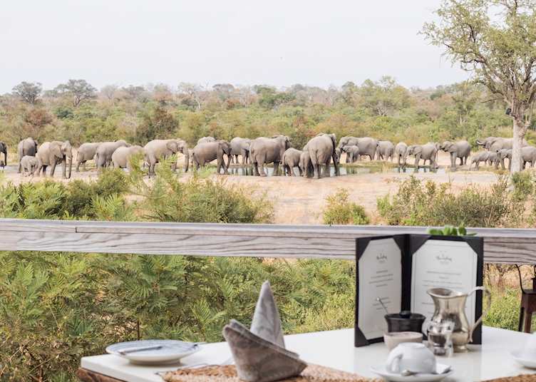 View from dining terrace, Simbambili Game Lodge, The Sabi Sand Wildtuin