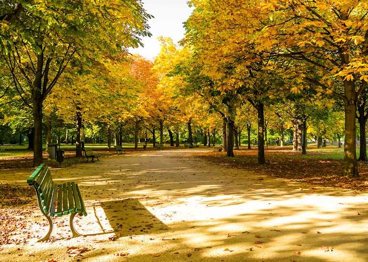 Park in Autumn, Berlin